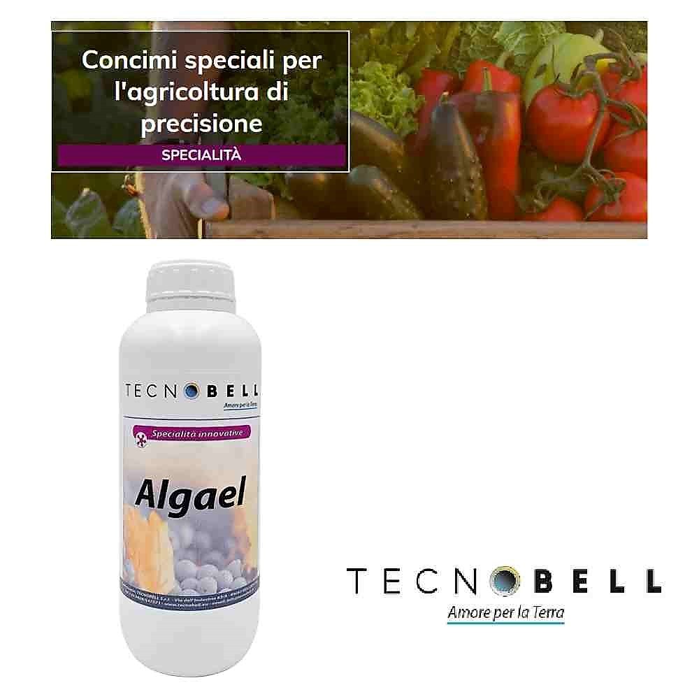 CONCIME ALGAEL - ESTRATTI DI ALGHE AD AZIONE STIMOLANTE E RINFORZANTE 1 KG - TECNOBELL