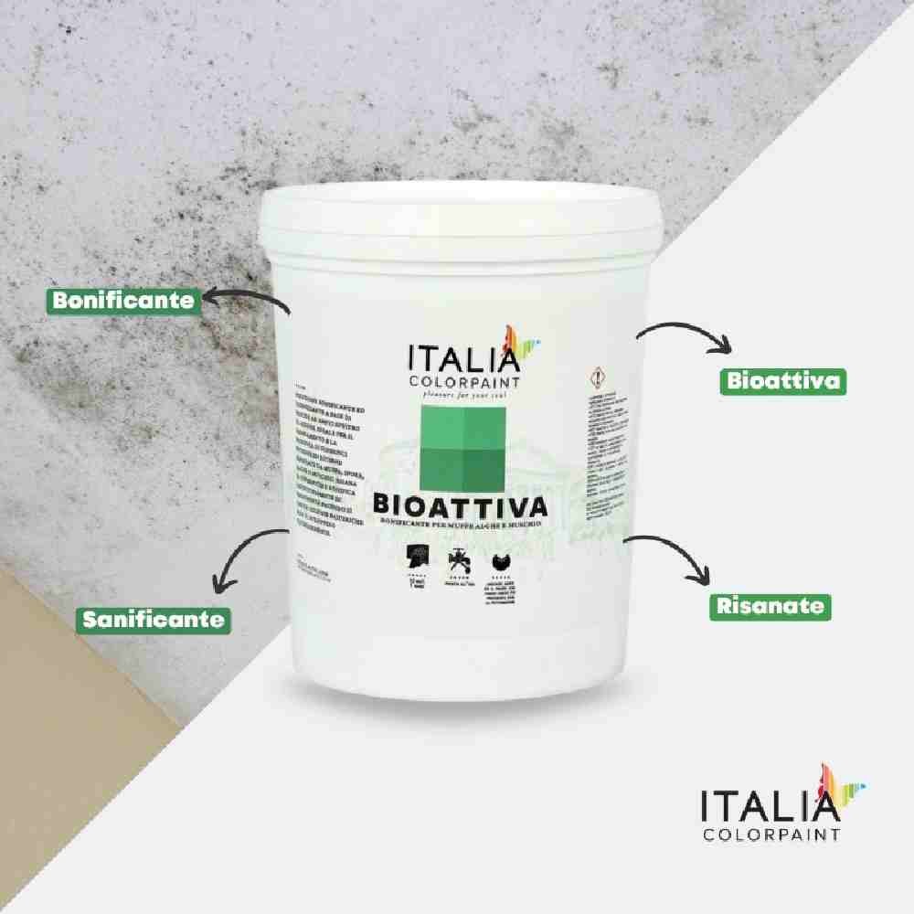 BIOATTIVA PRE - TRATTAMENTO BONIFICANTE ANTIMUFFA ANTIALGA 1 LT - DURIPLASTIC