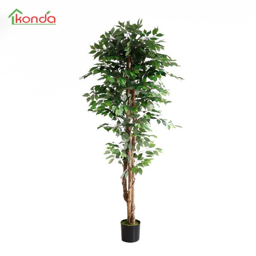 C PIANTA FICUS ARTIFICIALE...