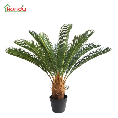 C PIANTA CYCAS ARTIFICIALE...